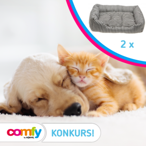 Konkurs fotograficzny: Wygraj legowisko dla zwierzaka!