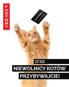 Kraków: Konkurs fotograficzny "Dzień kota"