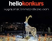 Fotograficzny Hellokonkurs! etapy