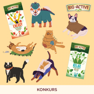 Konkurs "Nasze zwierzaki"