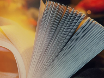 Konkurs "WROCŁAWSKA MAGNOLIA"