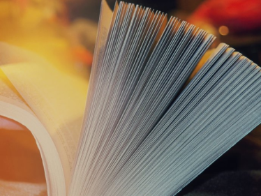 Konkurs "WROCŁAWSKA MAGNOLIA"