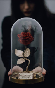 Konkurs "Wieczna róża w kloszu"