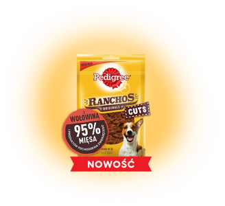 Loteria "Smak psich marzeń"