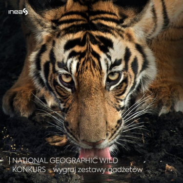 Konkurs "NATIONAL GEOGRAPHIC WILD - luty 2020"