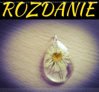 Konkurs "Zawieszka ze stokrotką"