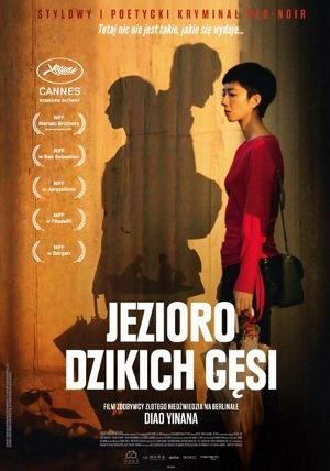 Wrocław: Konkurs "Jezioro dzikich gęsi w DCF" do godz. 12:00