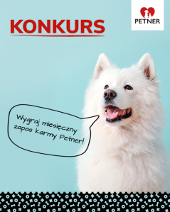 Konkurs "Chwile beztroski"