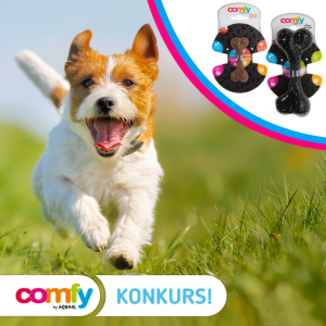 Konkurs fotograficzny "Pierwsze oznaki wiosny"