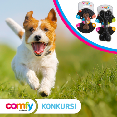 Konkurs fotograficzny "Pierwsze oznaki wiosny"