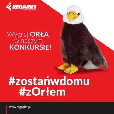 Wygraj maskotkę orła