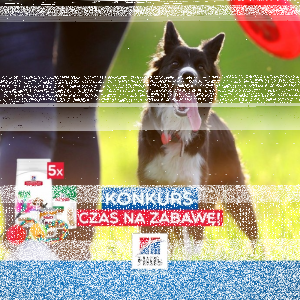 Konkurs filmowy "Czas na zabawę"