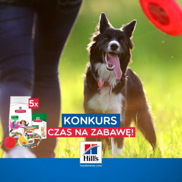 Konkurs filmowy "Czas na zabawę"