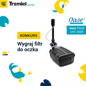 Konkurs fotograficzny: Wygraj filtr do oczka