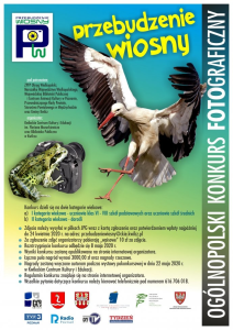 Konkurs "Przebudzenie wiosny"