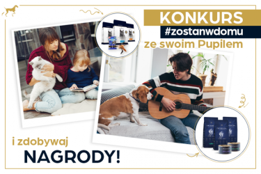 Konkurs "ADDVENA #zostańwdomu ze swoim Pupilem" do godz. 10:00