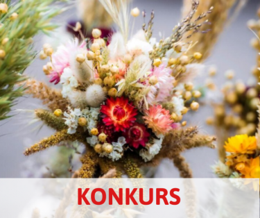 Konkurs fotograficzny "Palma wielkanocna"