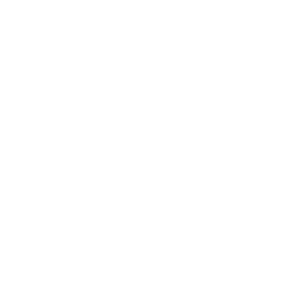 Wirtualny konkurs dla programistów - hackathon - HackYeah Online