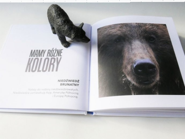 Konkurs plastyczny dla dzieci od Świat Wokół Nas