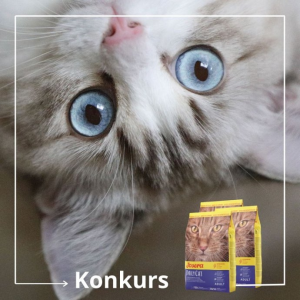 Konkurs "#ZOSTAŃWDOMU"