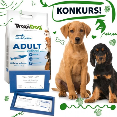 Konkurs fotograficzny "Proszę bardzo, pokaż mnie jak w domu.. wyleguje się"