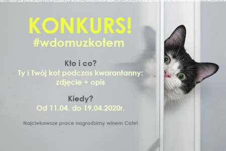 Konkurs "W domu z kotem"