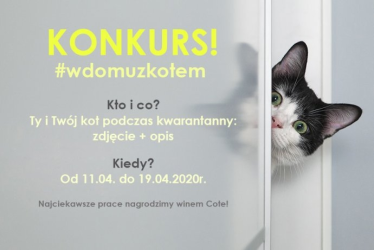 Konkurs "W domu z kotem"