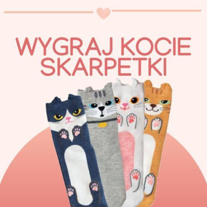 Konkurs "Kocie skarpetki"