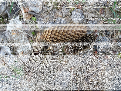 Konkurs "Kwiecień 2020"