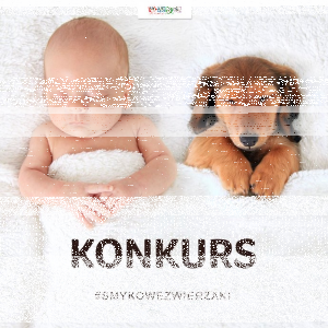 Konkurs "Zwierzaki"