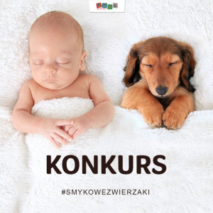 Konkurs fotograficzny "Zwierzaki"