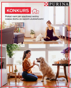 Konkurs "Domowe aktywności"