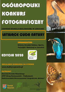 Konkurs "Latające cuda natury"