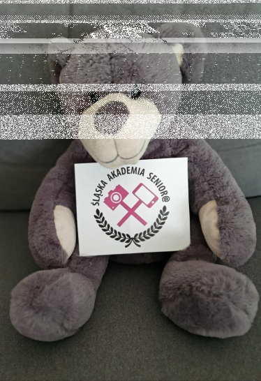 Konkurs "Jakie imię nadać maskotce projektu Śląska Akademia Senior@?"