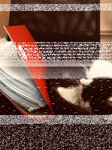 Konkurs fotograficzny z pupilami