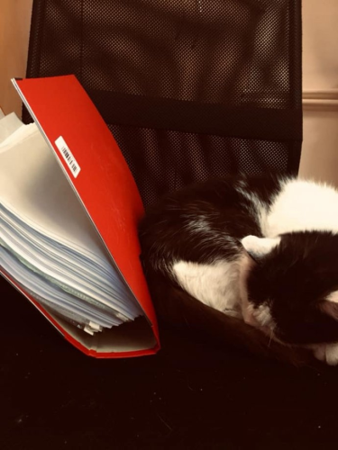 Konkurs fotograficzny z pupilami