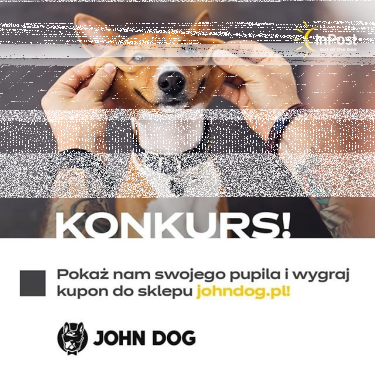 Konkurs "Z pupilem raźniej"