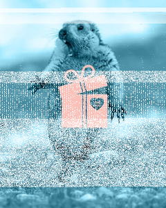 Konkursowe poniedziałki z fource.pl