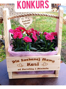 Wygraj ozdobną doniczkę