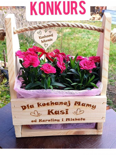 Wygraj ozdobną doniczkę