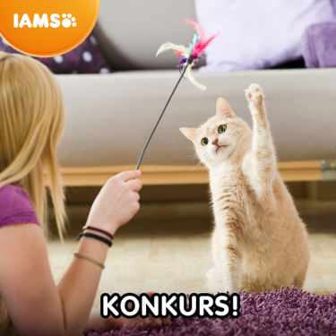 Konkurs "Ulubione zajęcia - kwiecień 2020"