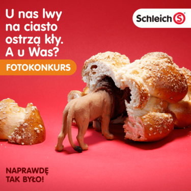 Konkurs fotograficzny "U nas lwy na ciasto ostrzą kły. A u Was?"