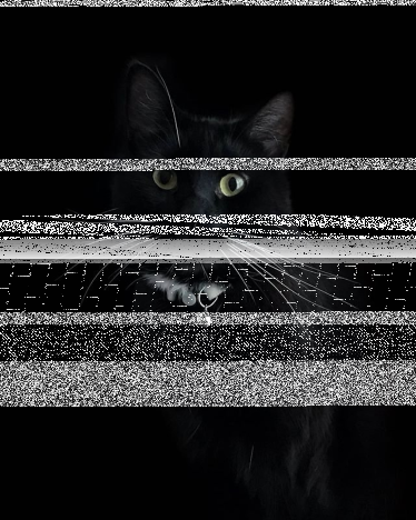 Konkurs na portret zwierzaka α Universe