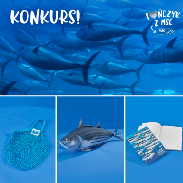 Konkurs " Światowy Dzień TUŃCZYKA!"