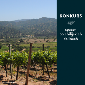 Konkurs "Spacer po chilijskich dolinach" 18+