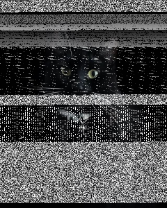 Konkurs "Najfajniejsze Wiosenne selfie miesiąca – maj 2020"