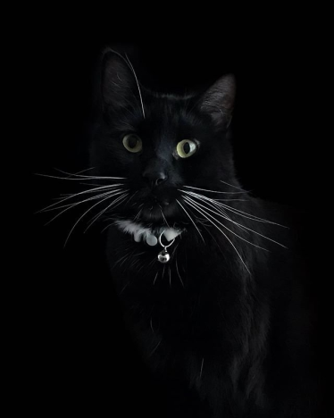 Konkurs "Najfajniejsze Wiosenne selfie miesiąca – maj 2020"