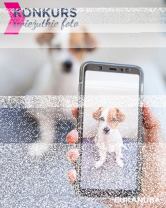 Konkurs "Świeżutkie foto psa"