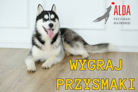 Wygraj przysmaki dla psa