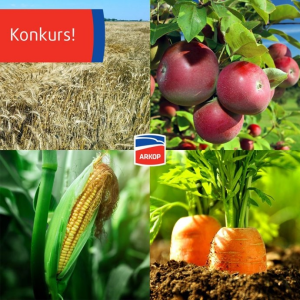 Konkurs "ARKOP Szuka Foty"